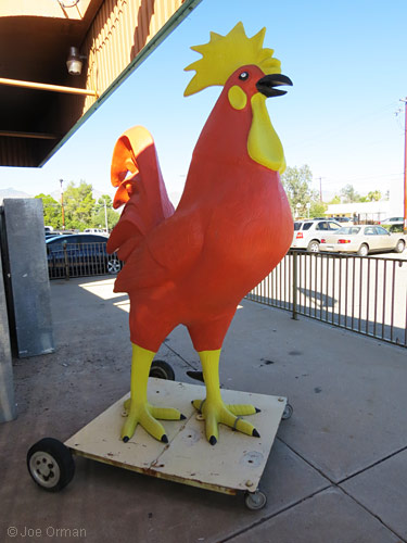 [bizarre_chickens19.jpg]