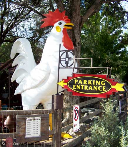 [bizarre_chickens2.jpg]