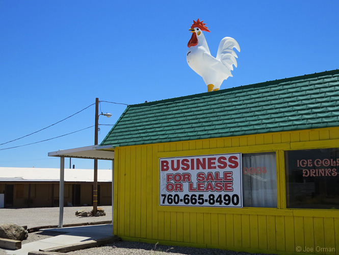 [bizarre_chickens21.jpg]