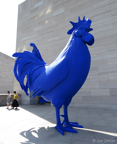 [bizarre_chickens24.jpg]