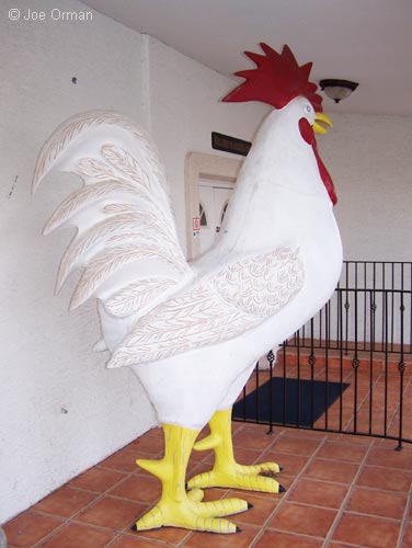 [bizarre_chickens3.jpg]