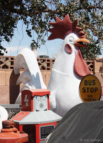 [bizarre_chickens6.jpg]