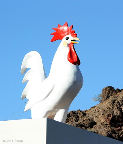 [bizarre_chickens9.jpg]