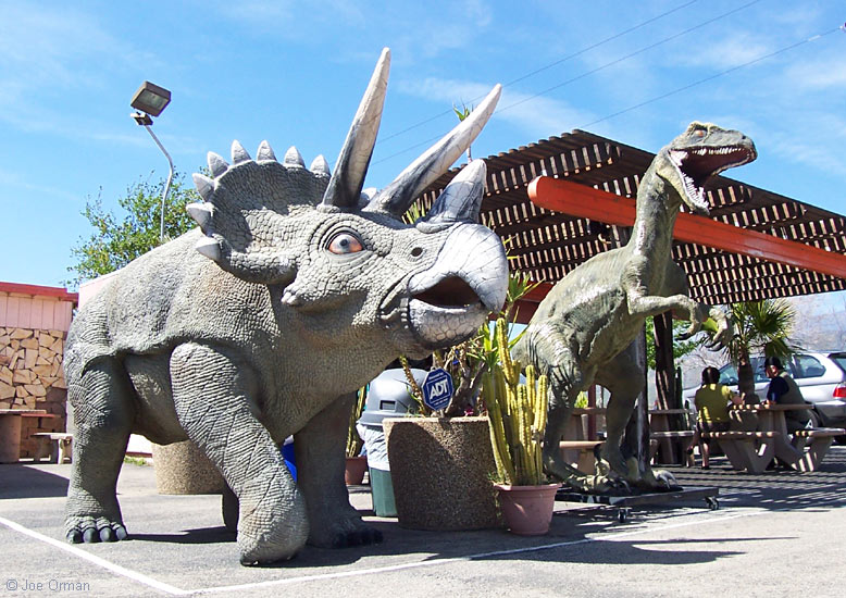 [bizarre_crazycoyotedinosaurs1.jpg]