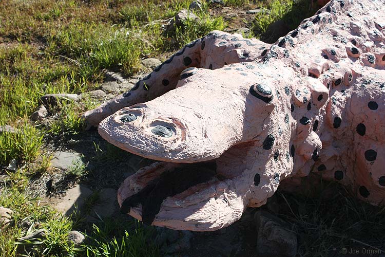 [bizarre_crocogator2.jpg]
