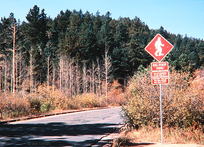 [bizarre_crossing1.jpg]