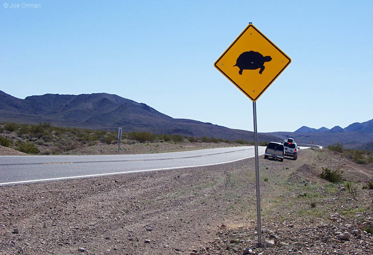 [bizarre_crossing14.jpg]