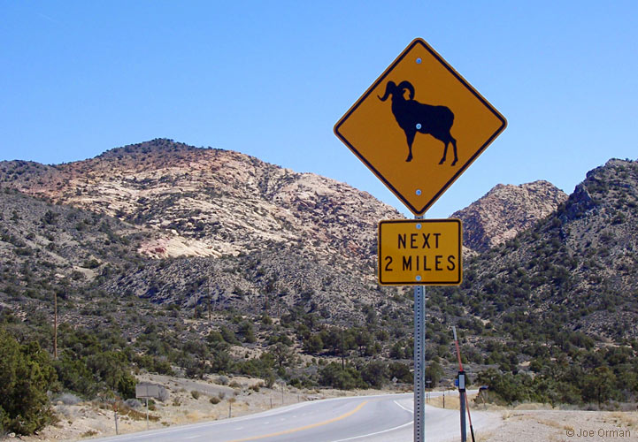 [bizarre_crossing15.jpg]