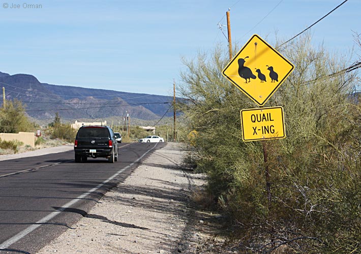 [bizarre_crossing2.jpg]