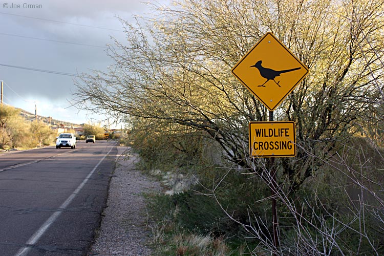 [bizarre_crossing3.jpg]