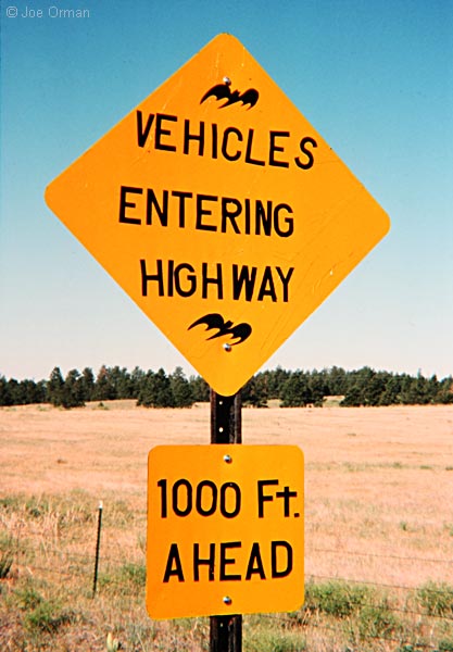 [bizarre_crossing4.jpg]