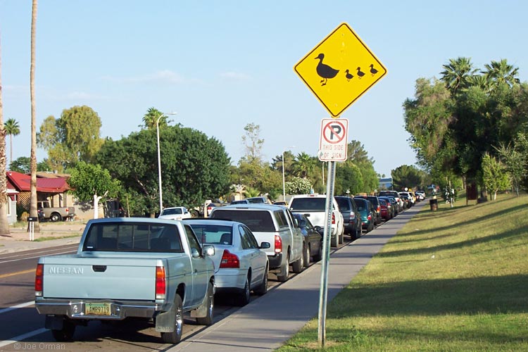 [bizarre_crossing5.jpg]