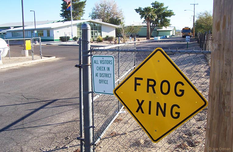 [bizarre_crossing7.jpg]