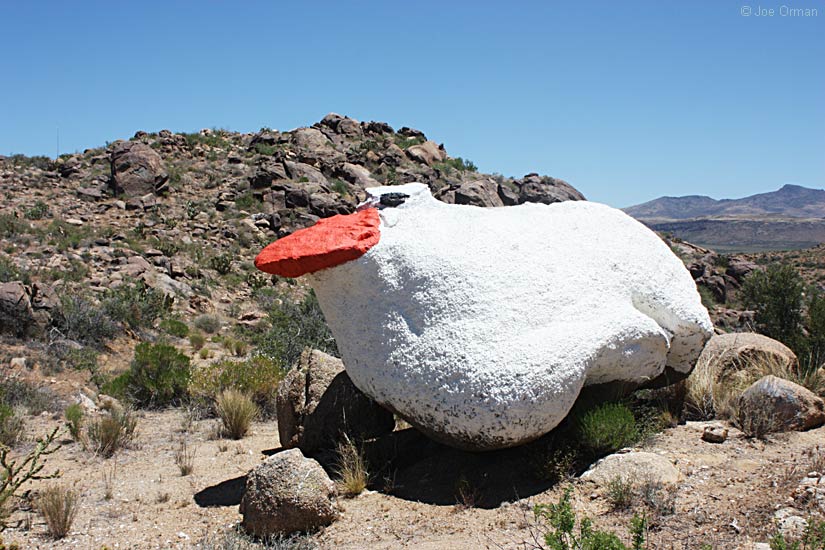 [bizarre_duckrock.jpg]