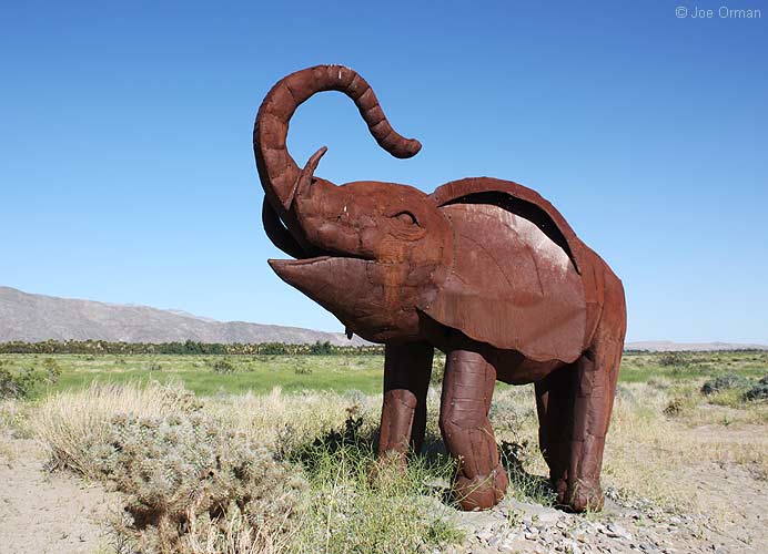 [bizarre_galleta3364.jpg]