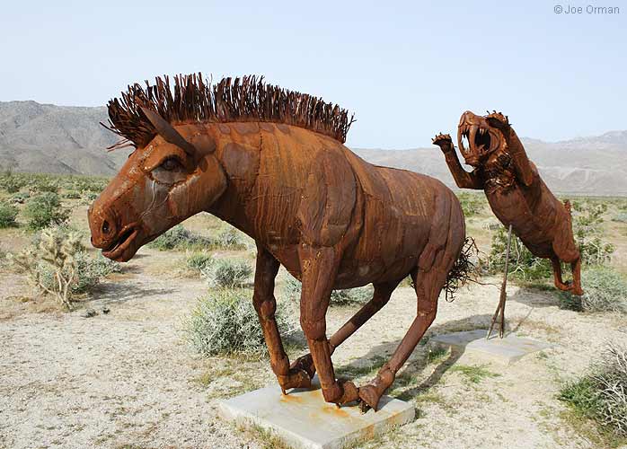 [bizarre_galleta3556.jpg]