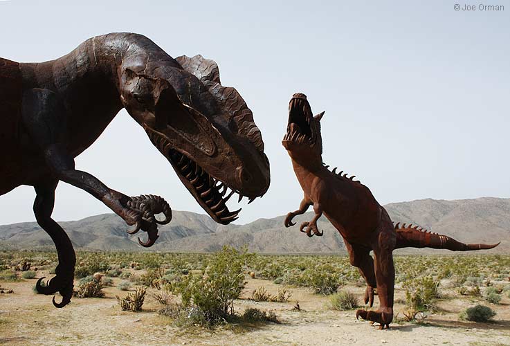 [bizarre_galleta3564.jpg]