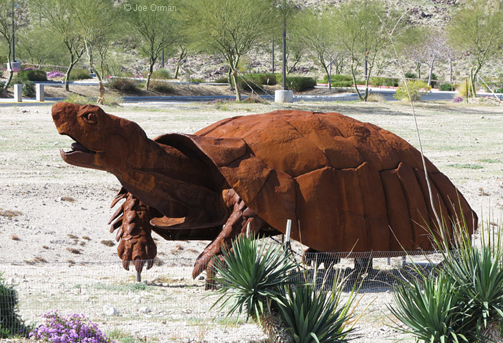 [bizarre_gianttortoises11.jpg]