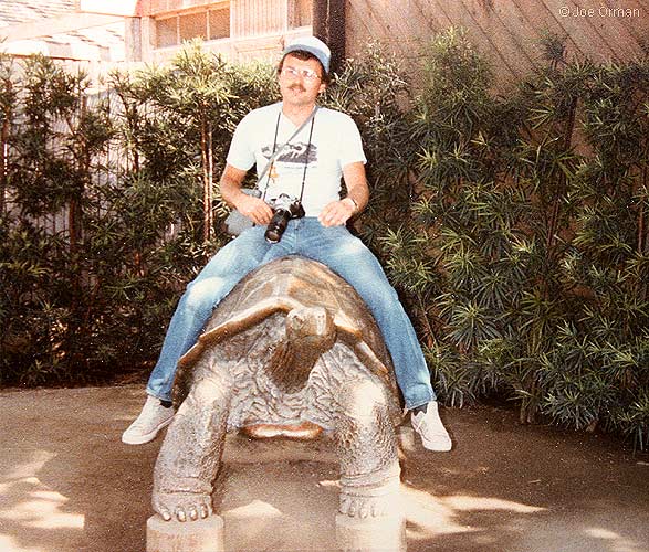 [bizarre_gianttortoises4.jpg]