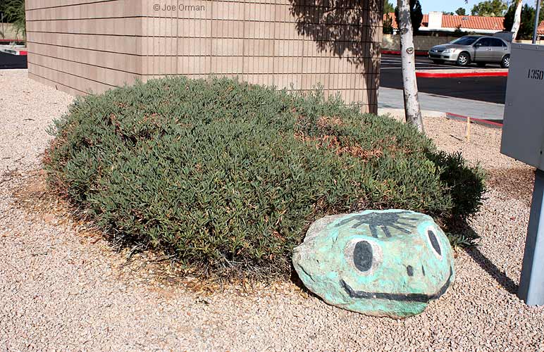 [bizarre_gianttortoises5.jpg]