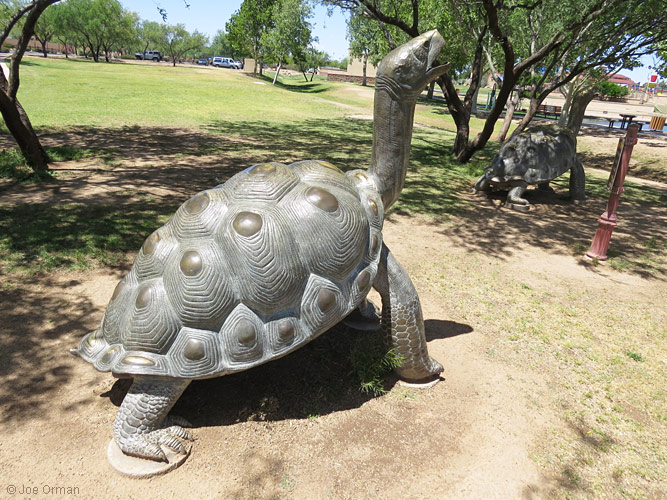 [bizarre_gianttortoises6.jpg]