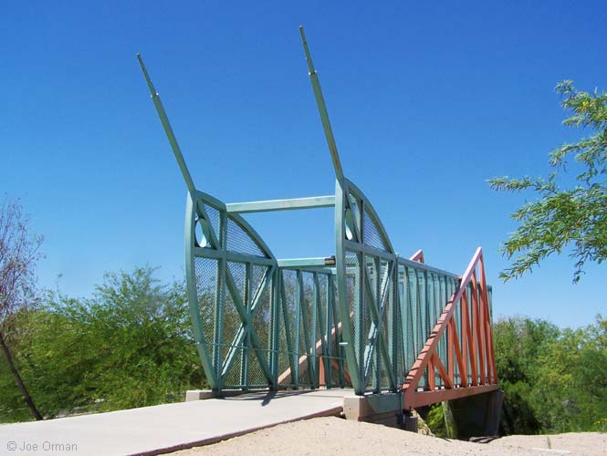 [bizarre_grasshopper1.jpg]