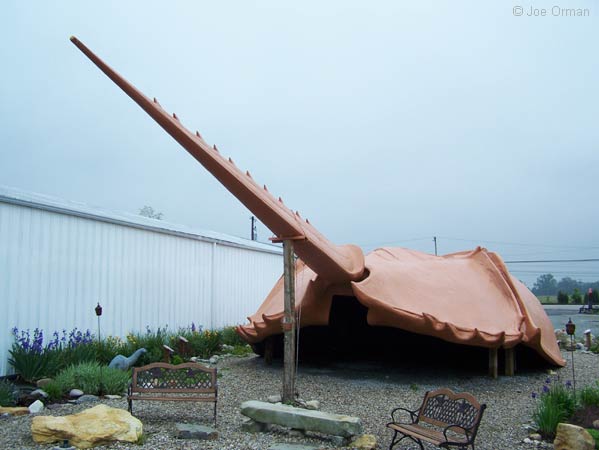 [bizarre_horseshoecrab2.jpg]