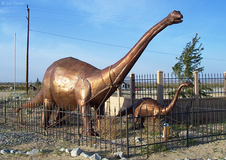 [bizarre_jtreedinosaurs1.jpg]