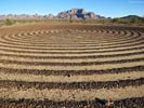 bizarre_labyrinthsSX50_7061_s.jpg