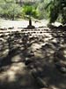bizarre_labyrinthsSX50_IMG_13550_s.jpg
