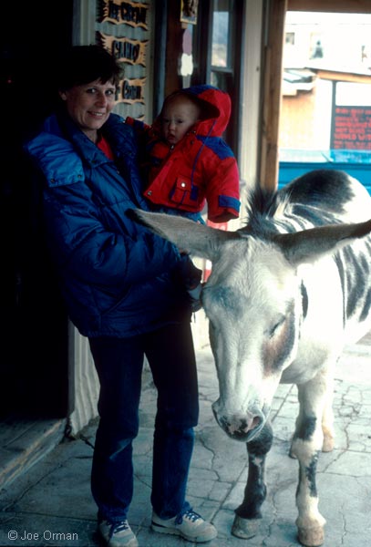 [bizarre_oatman.jpg]