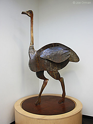 [bizarre_ostriches4.jpg]