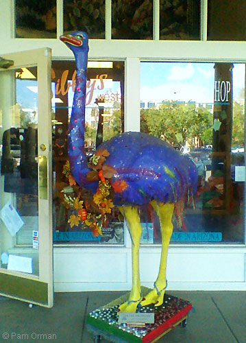 [bizarre_ostriches5.jpg]