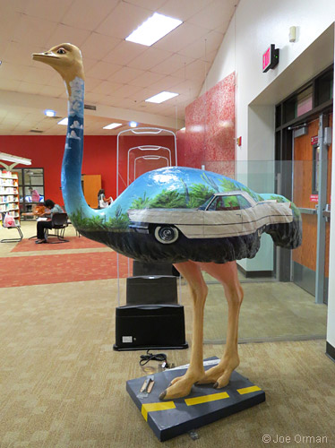 [bizarre_ostriches7.jpg]