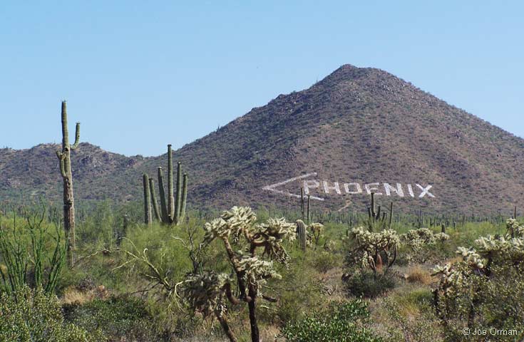 [bizarre_phoenixsign.jpg]