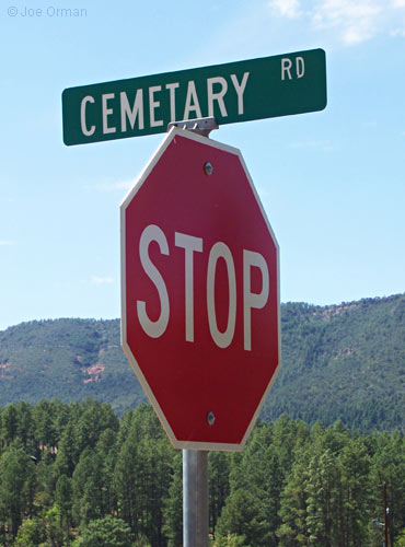 [bizarre_pinecemetery1.jpg]