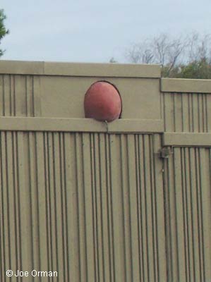 [bizarre_pots20.jpg]