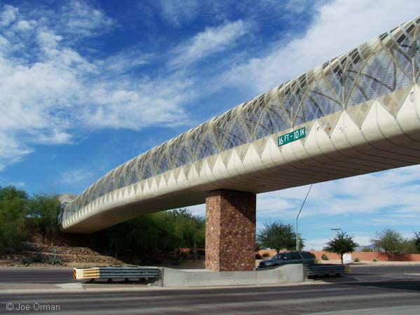 [bizarre_rattlesnake2.jpg]