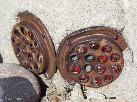 [bizarre_sacaton2.jpg]