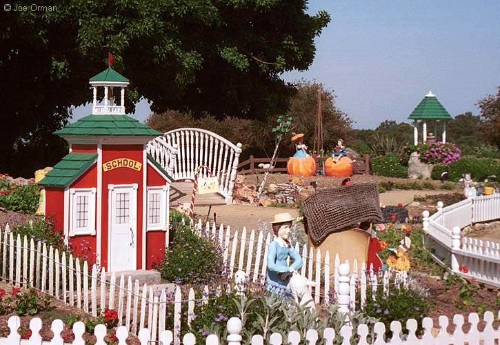 [bizarre_sbaybotanical1.jpg]