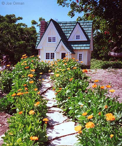 [bizarre_sbaybotanical2.jpg]