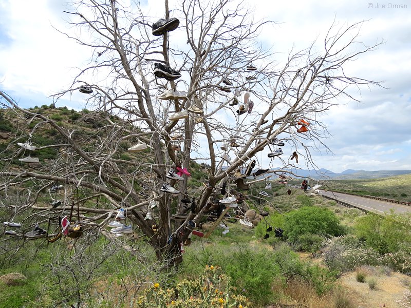 [bizarre_shoetrees2.jpg]