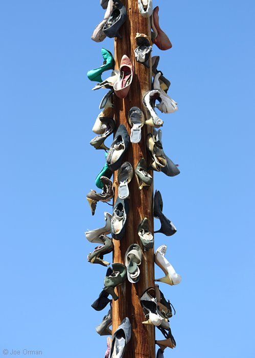 [bizarre_shoetrees3b.jpg]