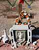 bizarre_shrines2683_s.jpg