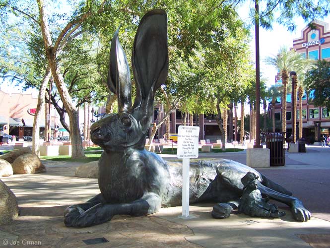 [bizarre_temperabbits1.jpg]