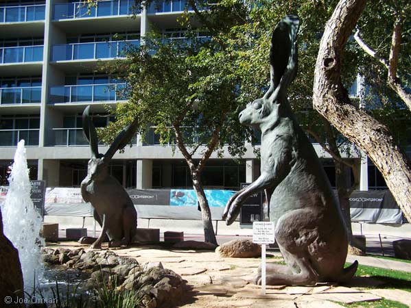 [bizarre_temperabbits2.jpg]