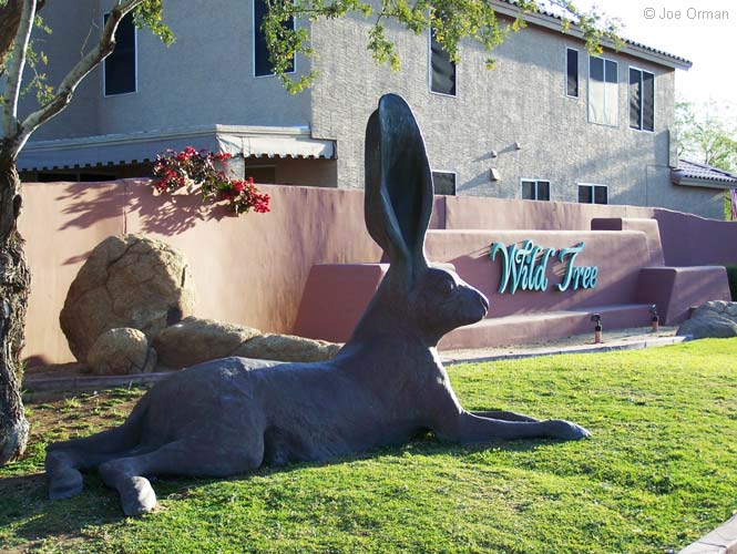 [bizarre_temperabbits3.jpg]