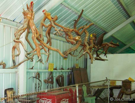 [bizarre_thing4.jpg]