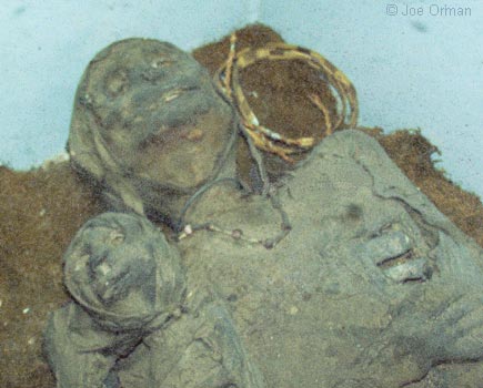 [bizarre_thing8.jpg]