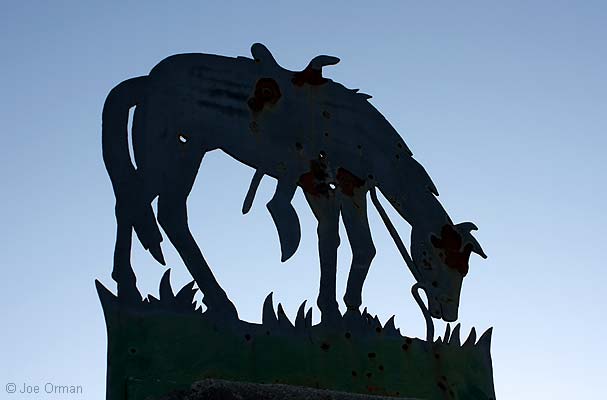 [bizarre_tommix2.jpg]